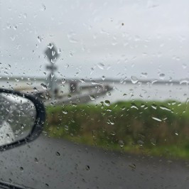 Pier Pressure Hearts