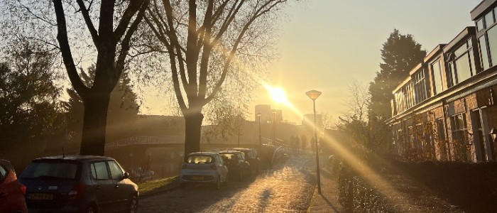 Marathon van Rotterdam 2026