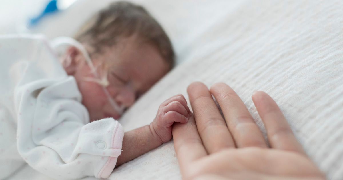 Noah's Ark Charity - Can You Buy OxyContin 80mg Online