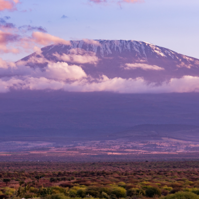 Kilimanjaro Summit Climb - Lemosho Route