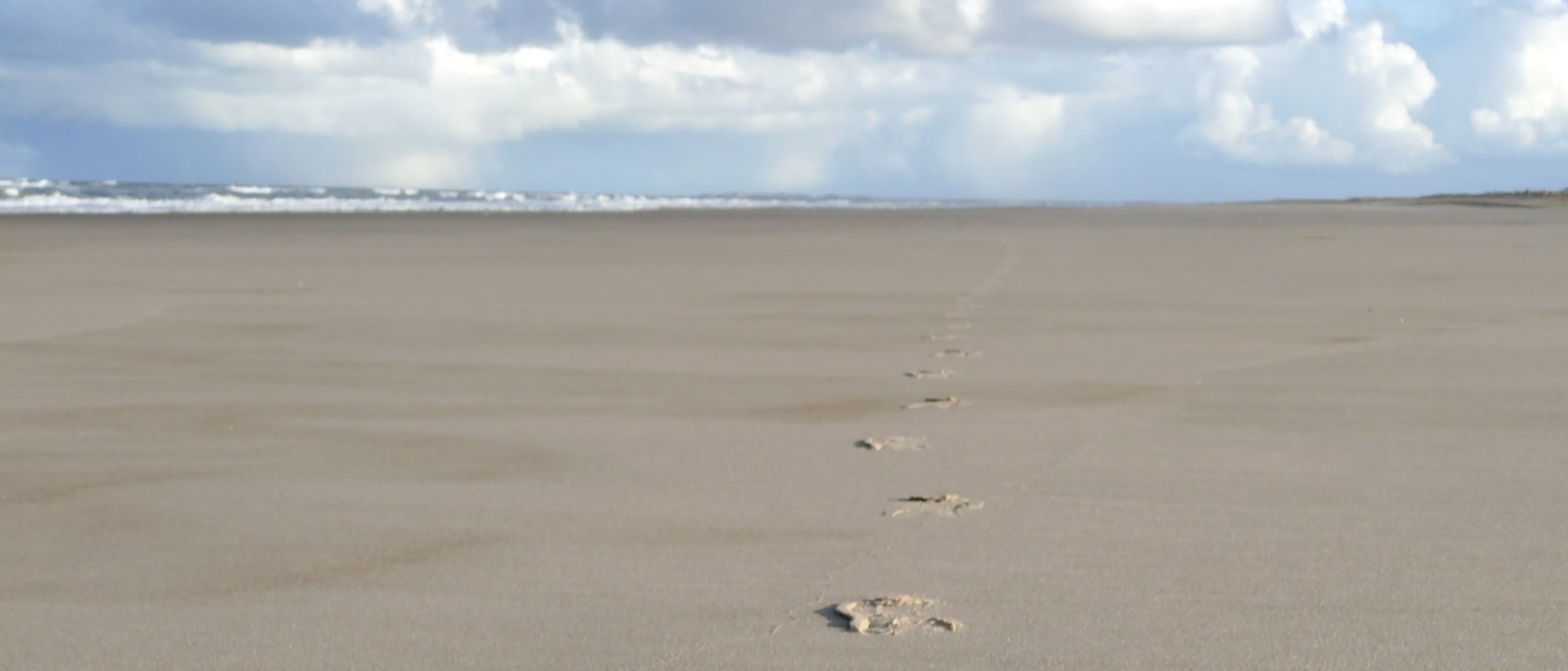 Strandrun